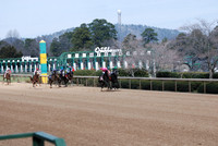 Oaklawn Park 3-3-13 JWM0002 (© Angela Greb)
