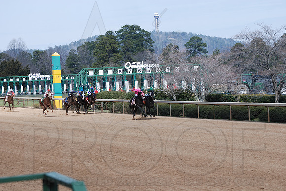 Oaklawn Park 3-3-13 JWM0002 (© Angela Greb)