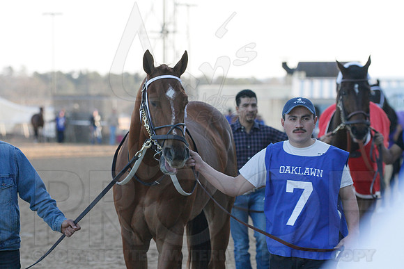 Oaklawn 1-21-13 (Smarty Jones Stakes) (Justin Manning)0062