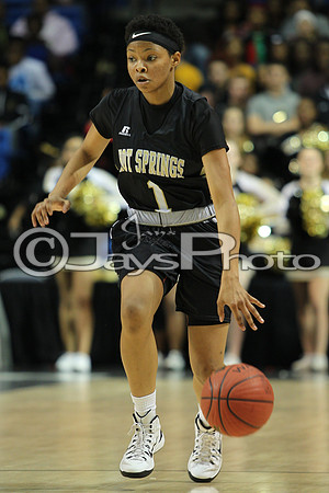 Pulaski Academy vs. Hot Springs 5A Girls State Finals 3-14-2015 (©Justin Manning) JWM_255