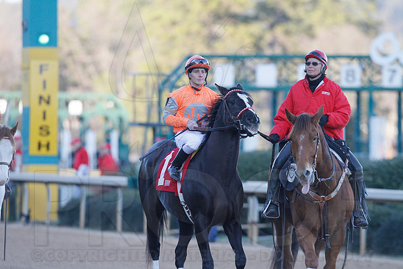 Oaklawn 1-21-13 (Smarty Jones Stakes) (Justin Manning)0158