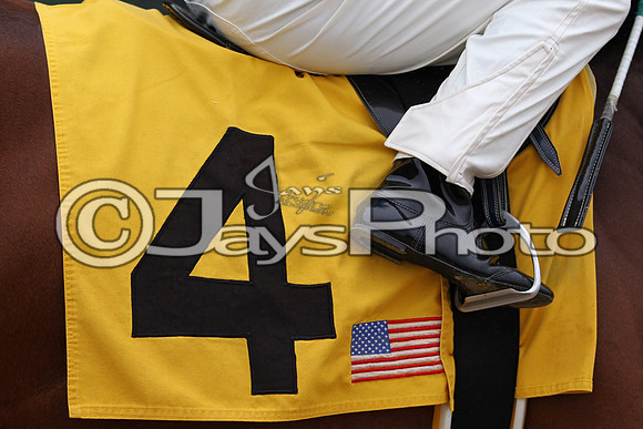 Oaklawn (Rebel Stakes Day) 3-14-2015 (©Justin Manning) JWM_190