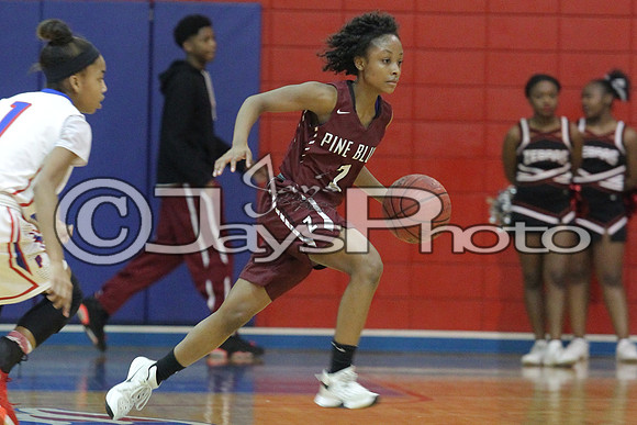 Pine Bluff @ LR Parkview JWM_0181