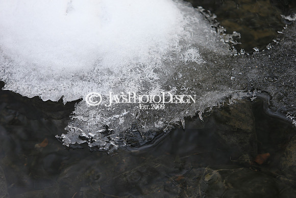 SnowDay 2-16-21_JWM0037