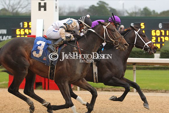 z200217_SouthwestStakesDay_Manning_3536