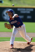 4A State Baeball Finals Arkadelphia vs. Star City 5-22-2015 (©Justin Manning) JWM_0014