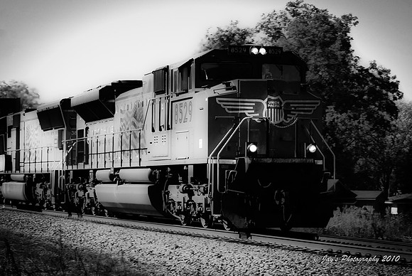 DSC_0154-2
