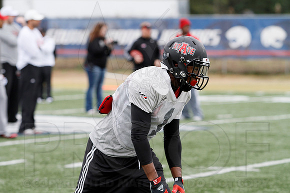 Arkansas State GoDaddy Bowl Practice 1-2-14 (©Justin Manning) JWM_0258