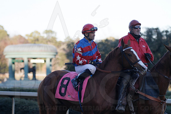 Oaklawn 1-21-13 (Smarty Jones Stakes) (Justin Manning)0174