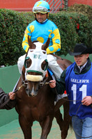 50th Running Southwest Stakes (Grade III) 2-22-2015 (©Justin Manning) JWM_071
