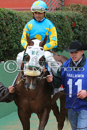 50th Running Southwest Stakes (Grade III) 2-22-2015 (©Justin Manning) JWM_071