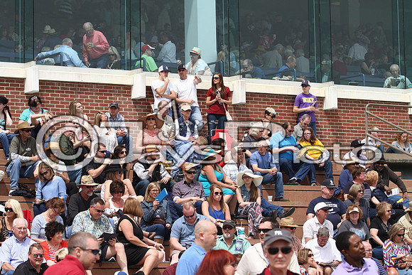Arkansas Derby Day 4-11-2015 (©Justin Manning) JWM_0469