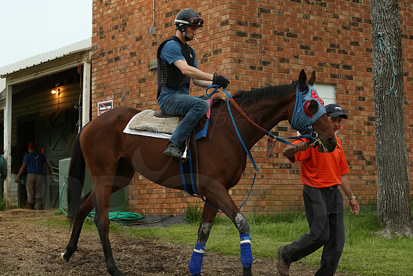 Arkansas Derby 4-11-2014 (© Justin Manning) JWM_0125