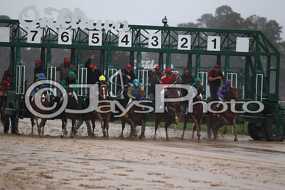 Oaklawn (Rebel Stakes Day) 3-14-2015 (©Justin Manning) JWM_314