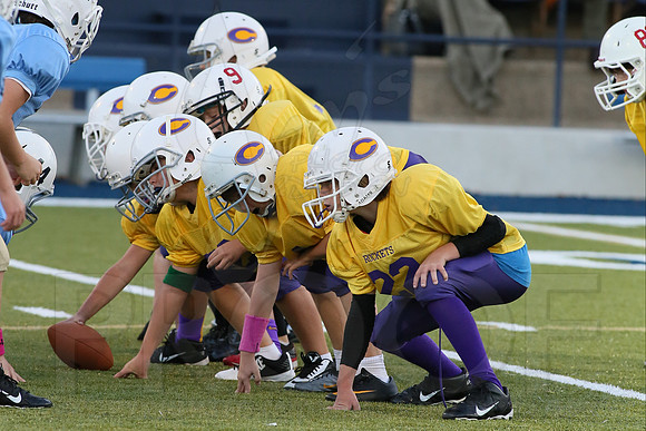 Catholic @ Pulaski Academy (Peewee) 10-14-2014 (©Justin Manning) JWM_0029