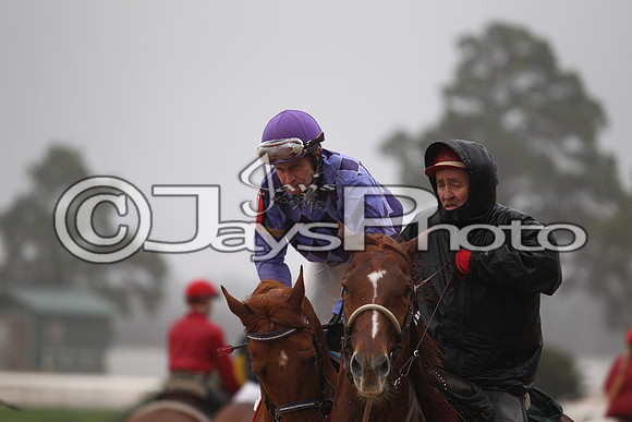Oaklawn (Rebel Stakes Day) 3-14-2015 (©Justin Manning) JWM_268