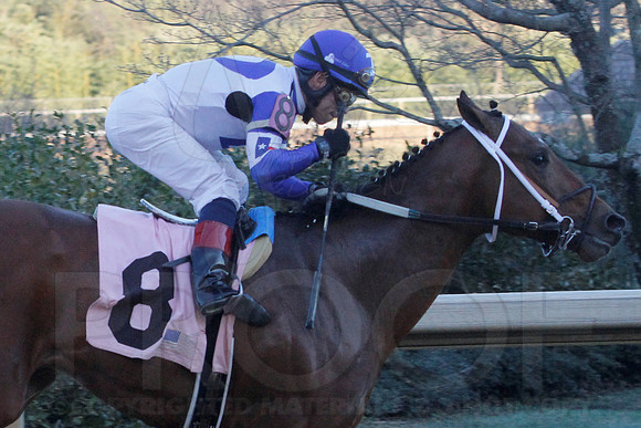 Smarty Jones Stakes 01-20-14 (©Justin Manning) JWM_0429