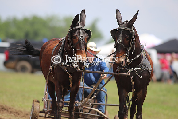 Whiskey Ridge Ranch (Chuckwagon Races) 5-25-24_JWM_0793