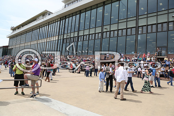 Arkansas Derby Day 4-11-2015 (©Justin Manning) JWM_0310