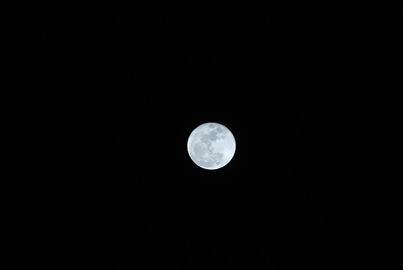 DSC_0026