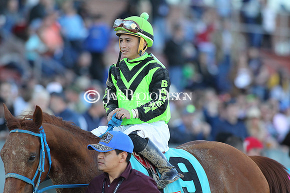 z190316_EssexStakes_Manning_0246