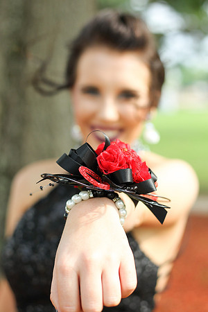 Sheridan Senior Prom 4-29-17_JWM00176