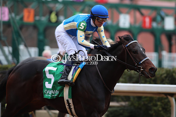 z250104_SmartyJonesStakesDay _JWM_0241