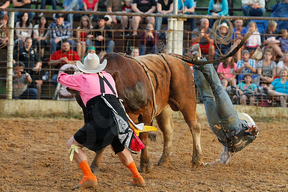 Bull Bash (Brickfest) 6-28-2014 (©Justin Manning) JWM_199