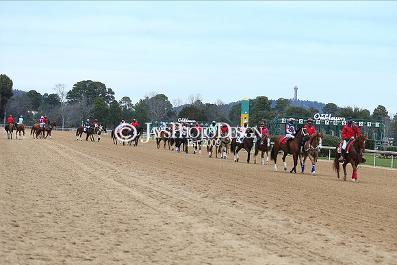 z210123_Pippin Stakes_Manning_0077