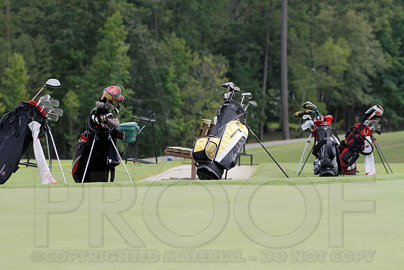 Cortez Golf Course (Hot Springs Village) 8-14-12 009(Justin Manning)