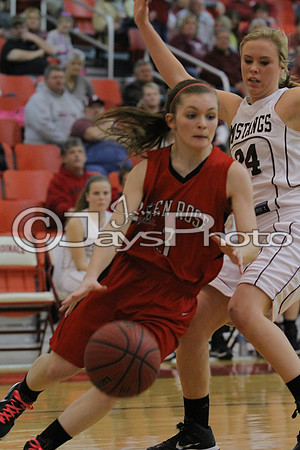 Glen Rose vs. Perryville Girls 3A District Tournament 2-20-2015 (©Justin Manning) JWM_039