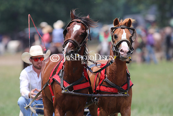 Whiskey Ridge Ranch (Chuckwagon Races) 5-26-24_JWM_0554