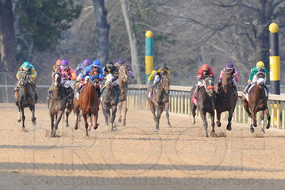 Honeybee Stakes (Grade III) 3-8-2014 (© Justin Manning) JWM_1389