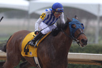 Oaklawn (Rebel Stakes Day) 3-14-2015 (©Justin Manning) JWM_051