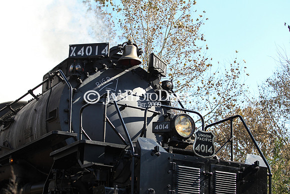 JWM_0389