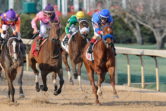 Honeybee Stakes (Grade III) 3-8-2014 (© Justin Manning) JWM_1399