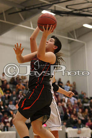 Lamar vs. Perryville Girls 3A State 3-6-2015 (©Justin Manning) JWM_181