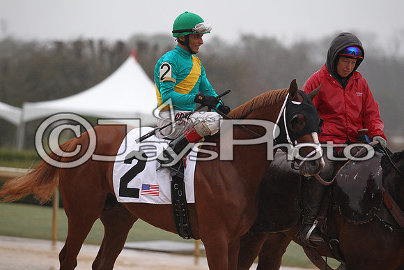 Oaklawn (Rebel Stakes Day) 3-14-2015 (©Justin Manning) JWM_235
