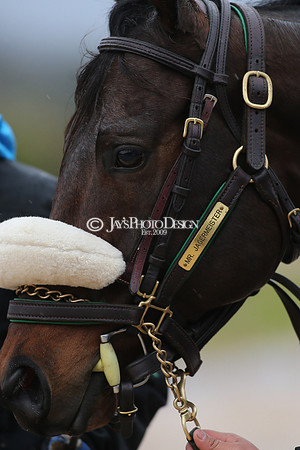 z210206_KingCottonStakesDay_Manning__0068