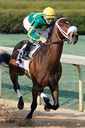 Honeybee Stakes (Grade III) 3-8-2014 (© Justin Manning) JWM_1361