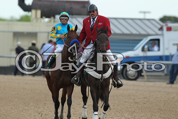 Arkansas Derby Day 4-11-2015 (©Justin Manning) JWM_2637