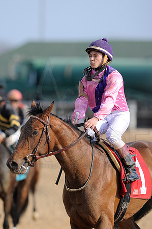 Honeybee Stakes (Grade III) 3-8-2014 (© Justin Manning) JWM_0544