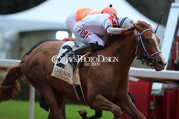 z250104_MockingbirdStakes _JWM_0603
