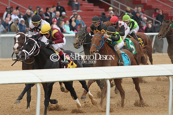 z190218_SouthwestStakesDay_Manning_754