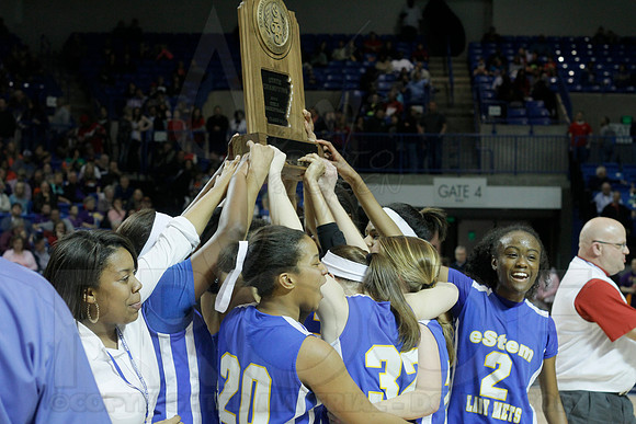 3A Girls State Finals-Harding Academy vs. eStem 3-14-2014 (© Justin Manning) JWM_0266