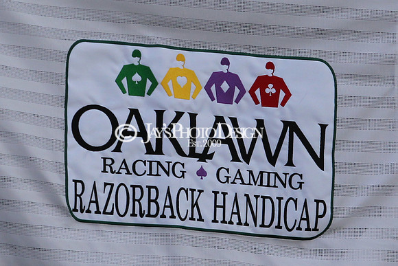 z190218_SouthwestStakesDay_Manning_808