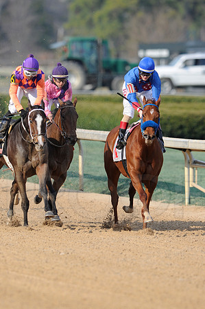 Honeybee Stakes (Grade III) 3-8-2014 (© Justin Manning) JWM_1422