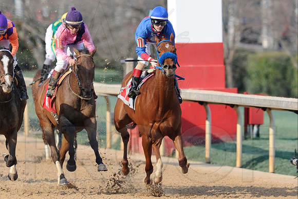 Honeybee Stakes (Grade III) 3-8-2014 (© Justin Manning) JWM_1409