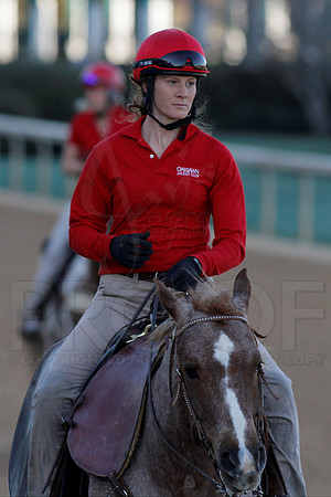 Smarty Jones Stakes 01-20-14 (©Justin Manning) JWM_0159