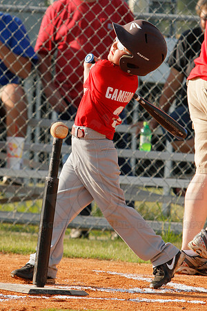 Phillies vs. Razorbacks 5-6 year old baseball 6-3-2014 (© Justin Manning) JWM_0031